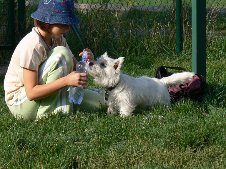 P1080329.JPG
