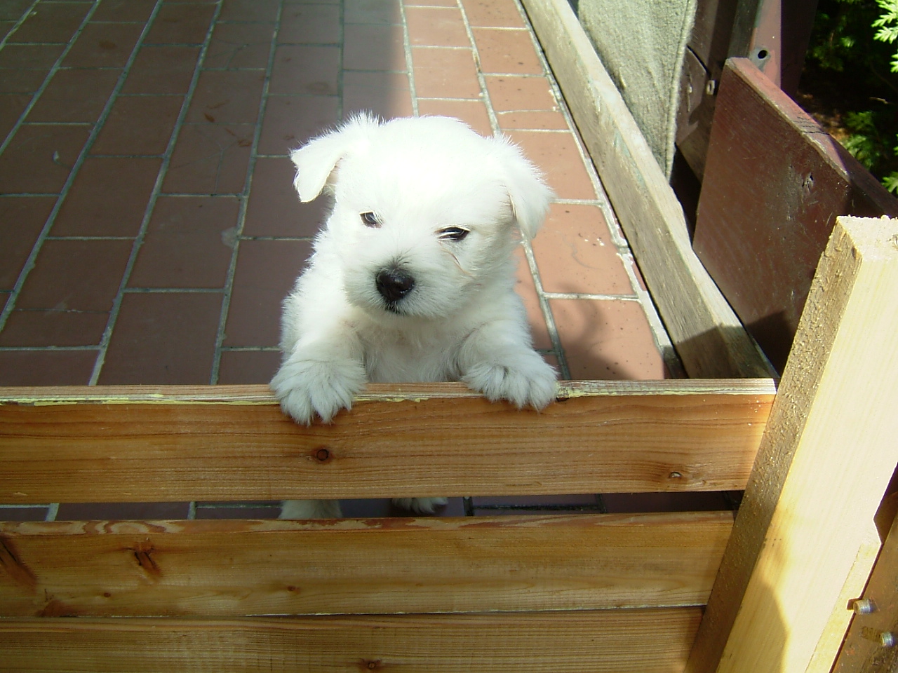 DSCF1698.JPG